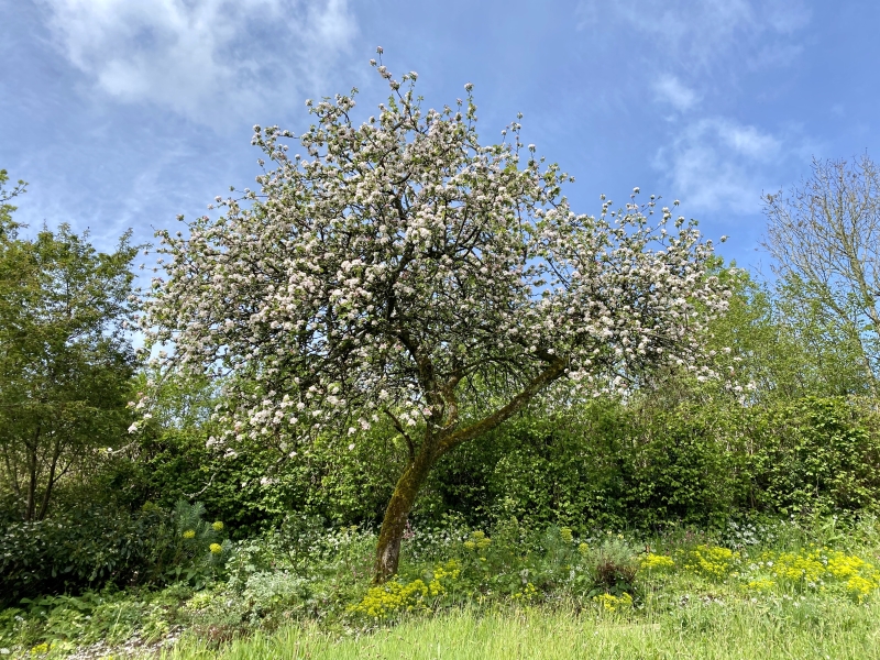 Bulland Farm